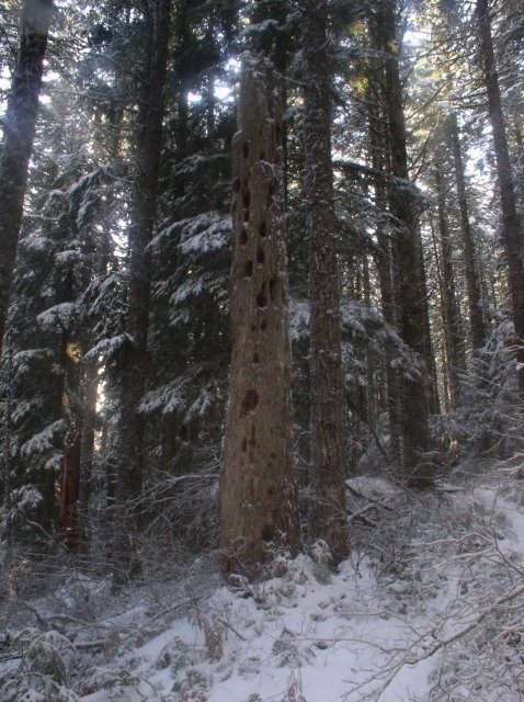 11.27.05 Nesmith Point 071 